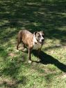Zena A031610