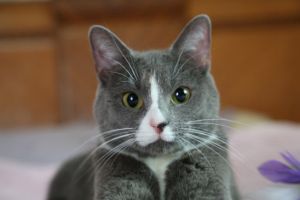 . Chloe .