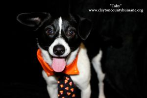 . Toby .