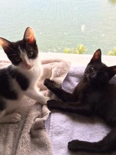. Coco .