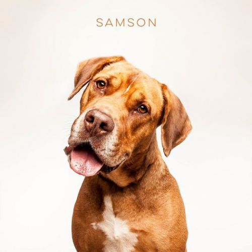. Sampson .
