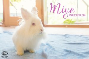. Miya .