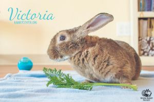 . Victoria .