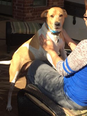 . Bella fostered .