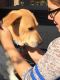 . Bella fostered .