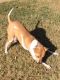 . Bella fostered .