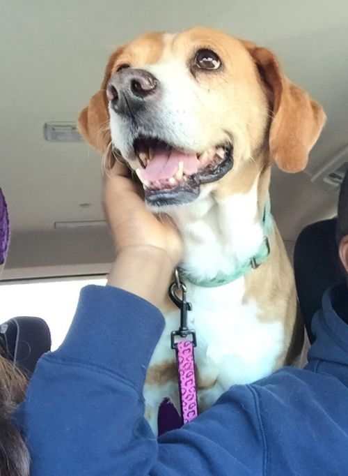 . Rosie - URGENT!!! .