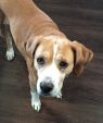 . Rosie - URGENT!!! .