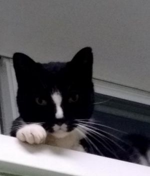 . Sam .