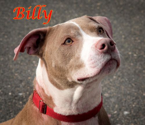. Billy .