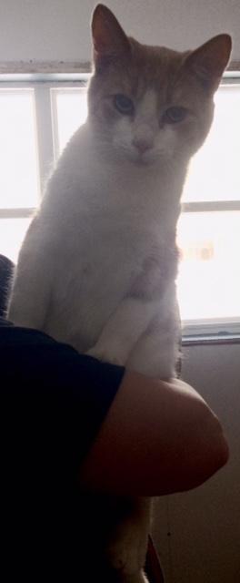 . Jasper .
