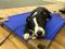 . Max courtesy post .