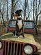 . Max courtesy post .