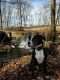 . Max courtesy post .