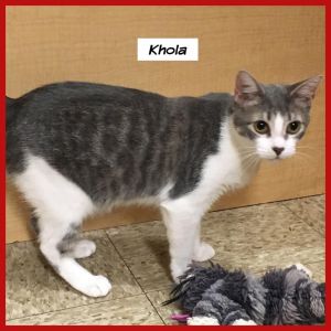 . Khola .