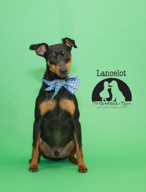 . Lancelot .