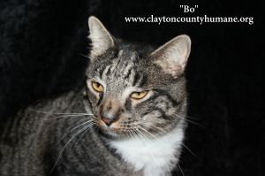 . Bo .