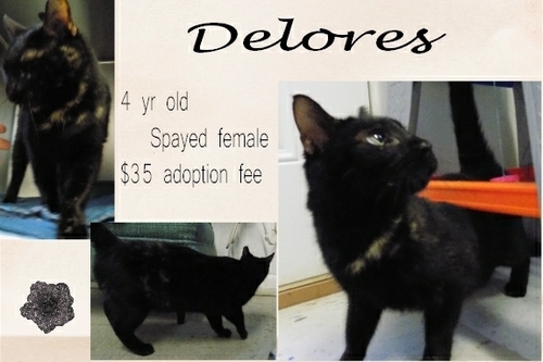 . Delores .