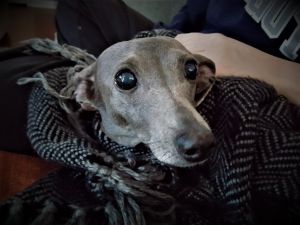. Sophie .