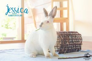 . Jessica .