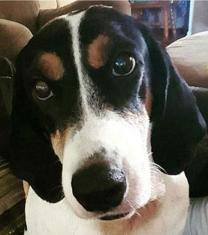 . Sophia .