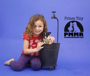 . Prince Tiny .