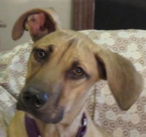 . Lady Babs ~ Gentle & Precious! .