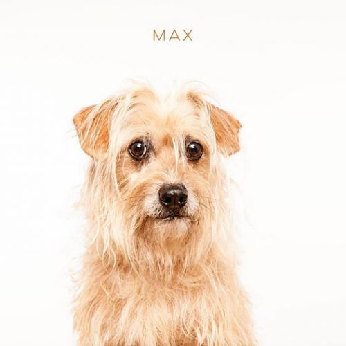 . Max .
