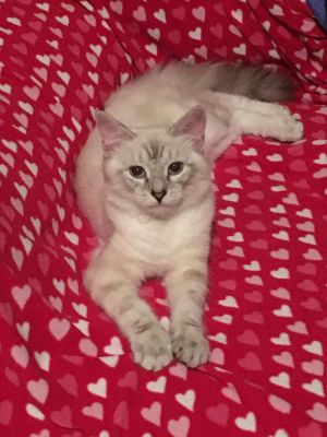 . Luna .