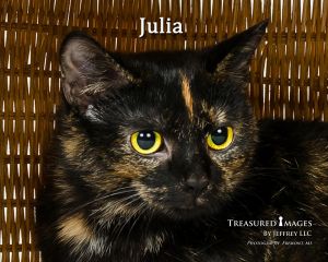 . Julia .
