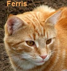 . Ferris .