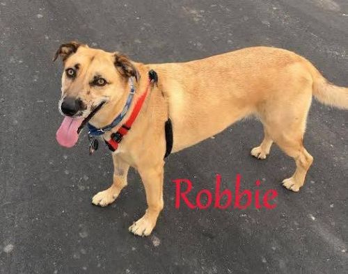 . Robbie .
