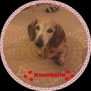 . Annabelle .