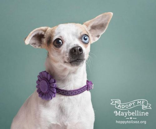 . Maybelline .