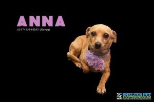 . Anna .