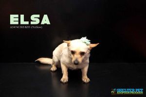. Elsa .