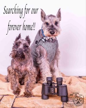 . Oscar & Charlie .
