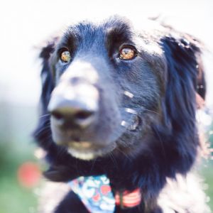 Photo of Sir Tucker