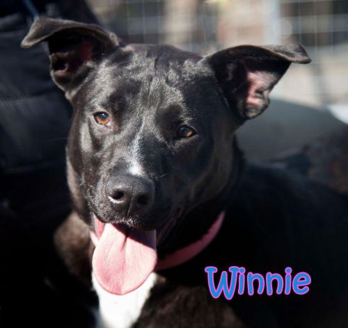 . Winnie .