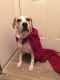 . Amanda Hugginkiss--Adores People of All Ages! .