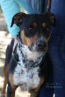 . Rhonda & Sylvester - Best Buddies - Name Your Price! .