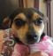 . Mia! Precious! .