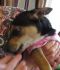 . Mia! Precious! .