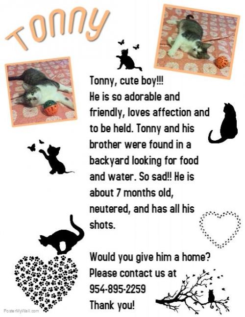. Tonny .