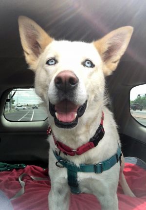 . TASHA .