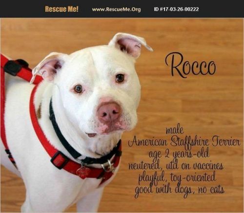 . Rocco .