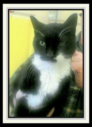 . Charlie .