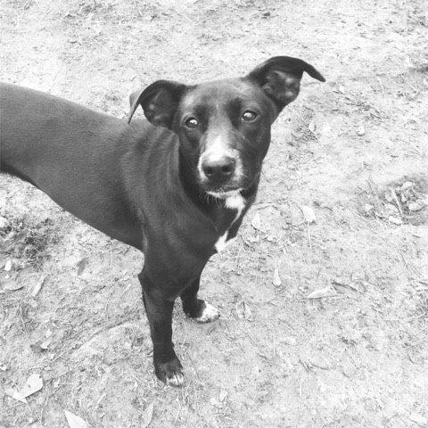 . Whinnie Cooper .