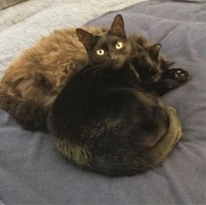 . Gary & Jack (CROSSPOST) .