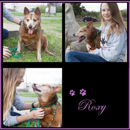 . Roxy .